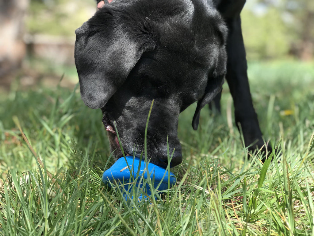 Flying Saucer Dog Toy And Treat Dispenser eDispenser