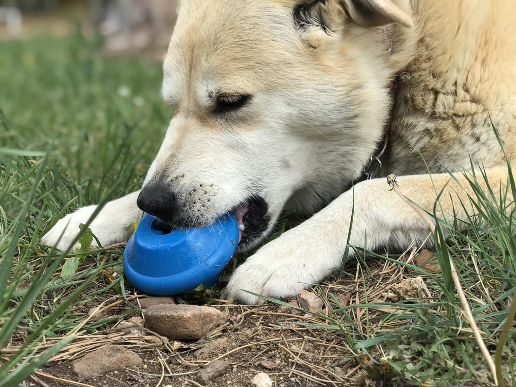 Flying Saucer Dog Toy And Treat Dispenser eDispenser
