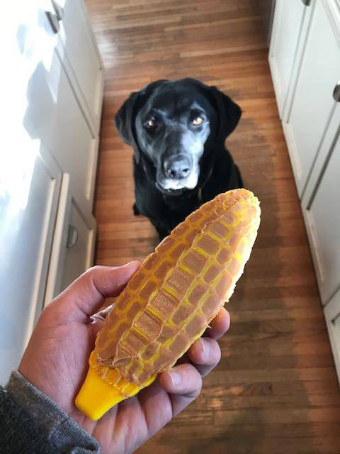 SodaPup Corn on the Cob Nylon Dog Toy for Aggressive Chewers United States Made
