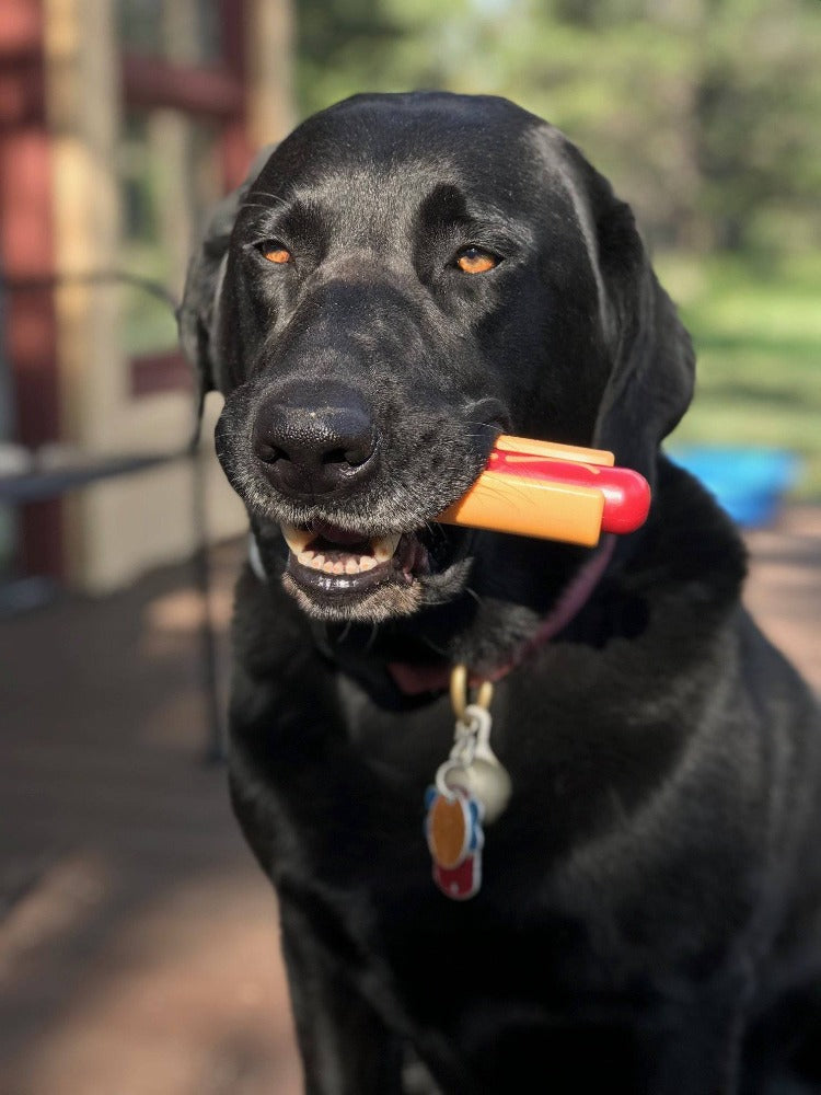 SodaPup Hot Dog Nylon Chew Toy For Aggressive Chewers