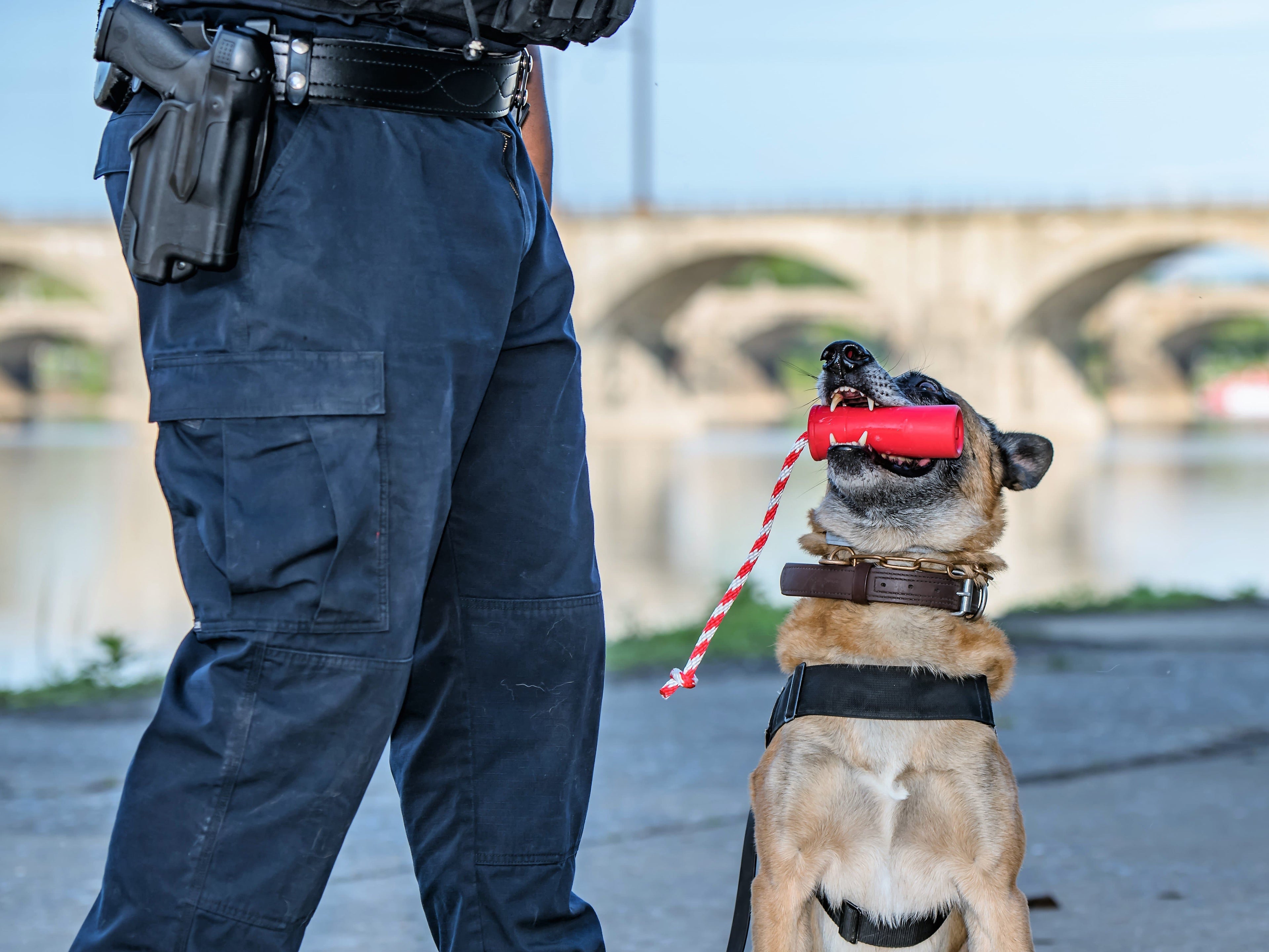 USA-K9 Firecracker Floating Training Dummy For K9 Handling Red