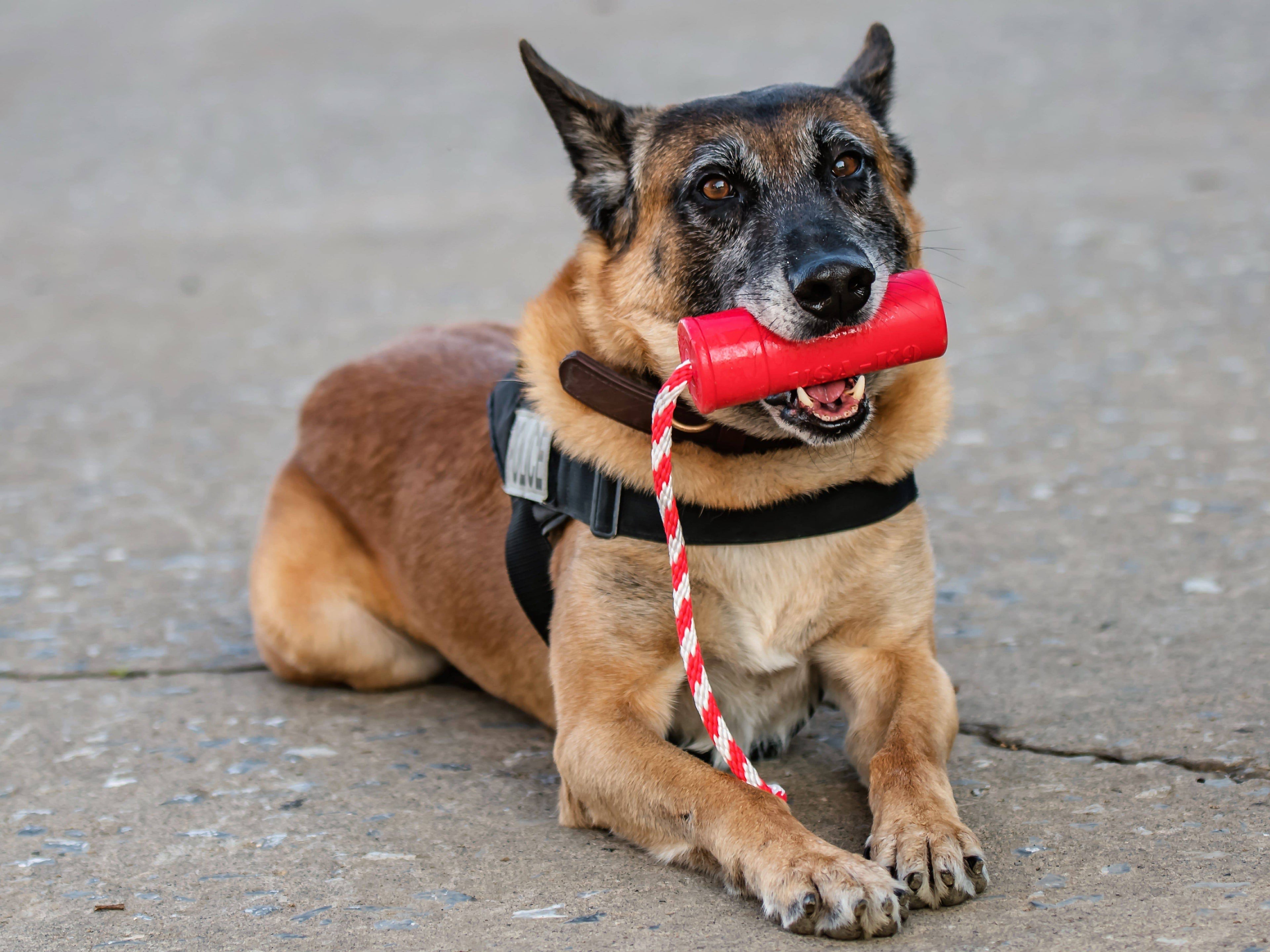 USA-K9 Firecracker Floating Training Dummy For K9 Handling Red