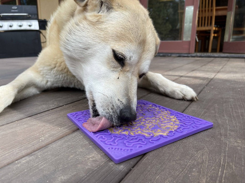 SodaPup Bones eMat Enrichment Lick Mat For Dogs And Cats