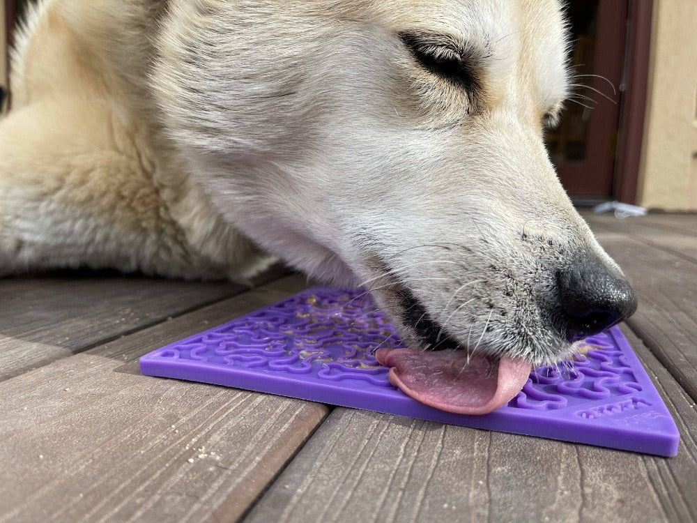 SodaPup Bones eMat Enrichment Lick Mat For Dogs And Cats