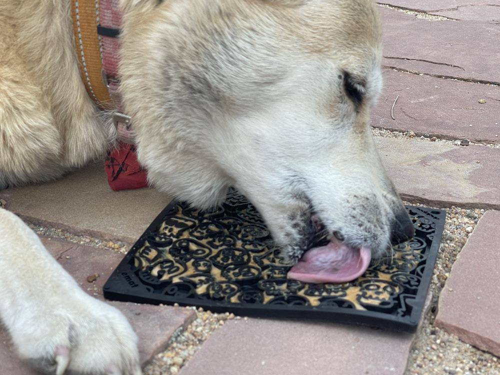 SodaPup Zombie eMat Enrichment Lick Mat for Dogs and Cats
